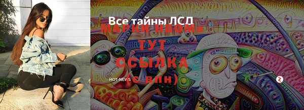 шишки Верхний Тагил